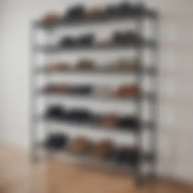 Minimalist Metal Shoe Rack Sleek metal shoe rack with minimalist aesthetics