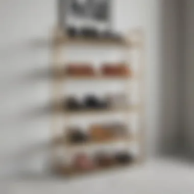 Shoe Rack in Modern Entryway Stylish shoe rack incorporated into a modern entryway