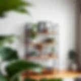 Elegant wooden display shelf adorned with plants and decor