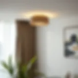 Elegant modern flush mount lamp showcasing minimalist design