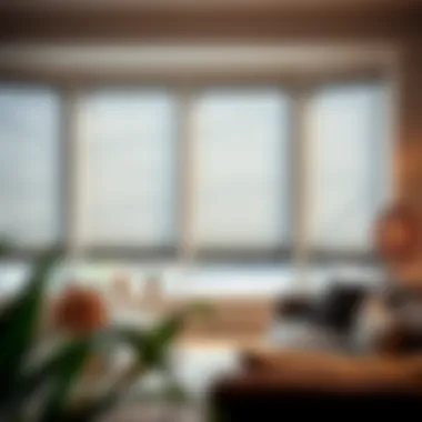 Elegant gray roller blinds in a modern living room setting