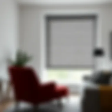 Maintenance tips for gray roller blinds in various settings