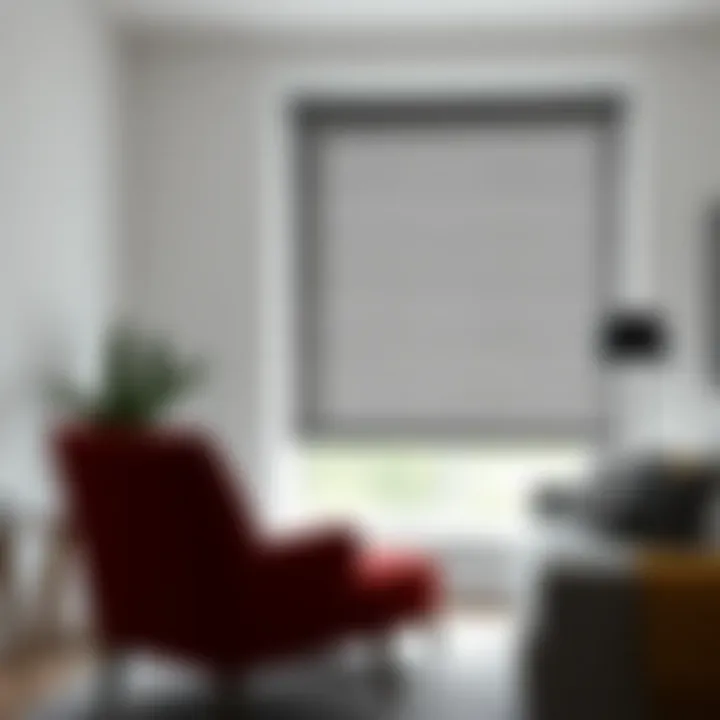 Maintenance tips for gray roller blinds in various settings