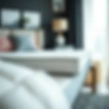 Notable Understanding Mattress Risers: Functional Insights and Practical Applications