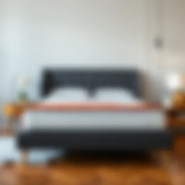 Notable Understanding Queen Size Mattress Dimensions