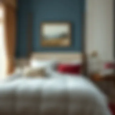 Notable Understanding the Cost of King Size Duvets