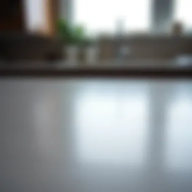 Detailed View of Laminate Countertop Texture Close-up of laminate countertop detailing to illustrate texture and finish.